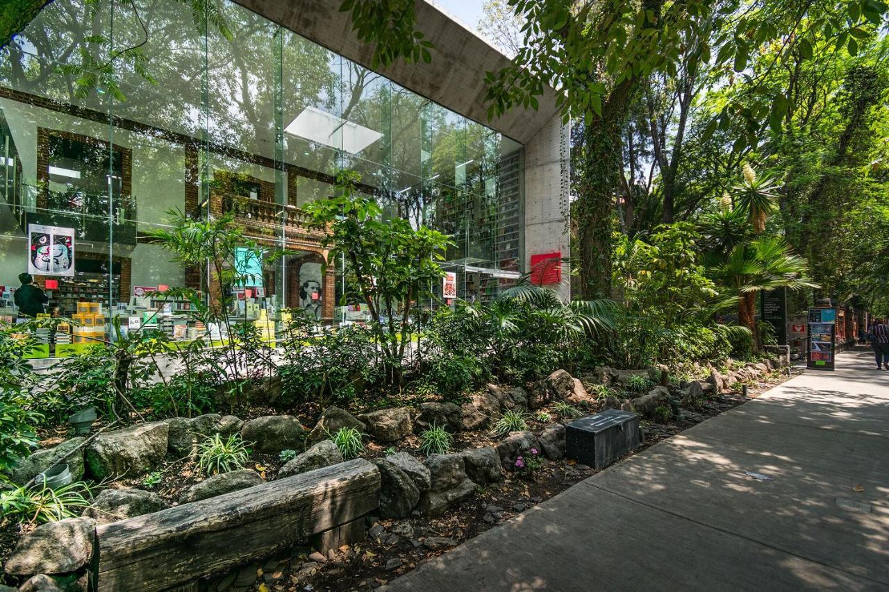 شقة Fl 59 Coyoacan At Your Doorstep! مدينة مكسيكو المظهر الخارجي الصورة