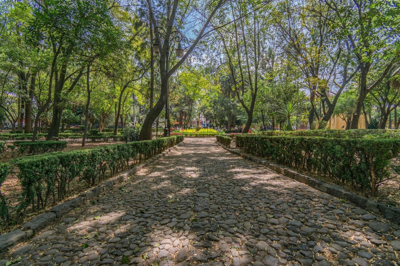 شقة Fl 59 Coyoacan At Your Doorstep! مدينة مكسيكو المظهر الخارجي الصورة